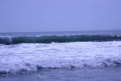 DSC_2114 (Large).JPG